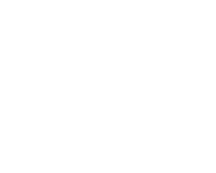RT 111 Express
